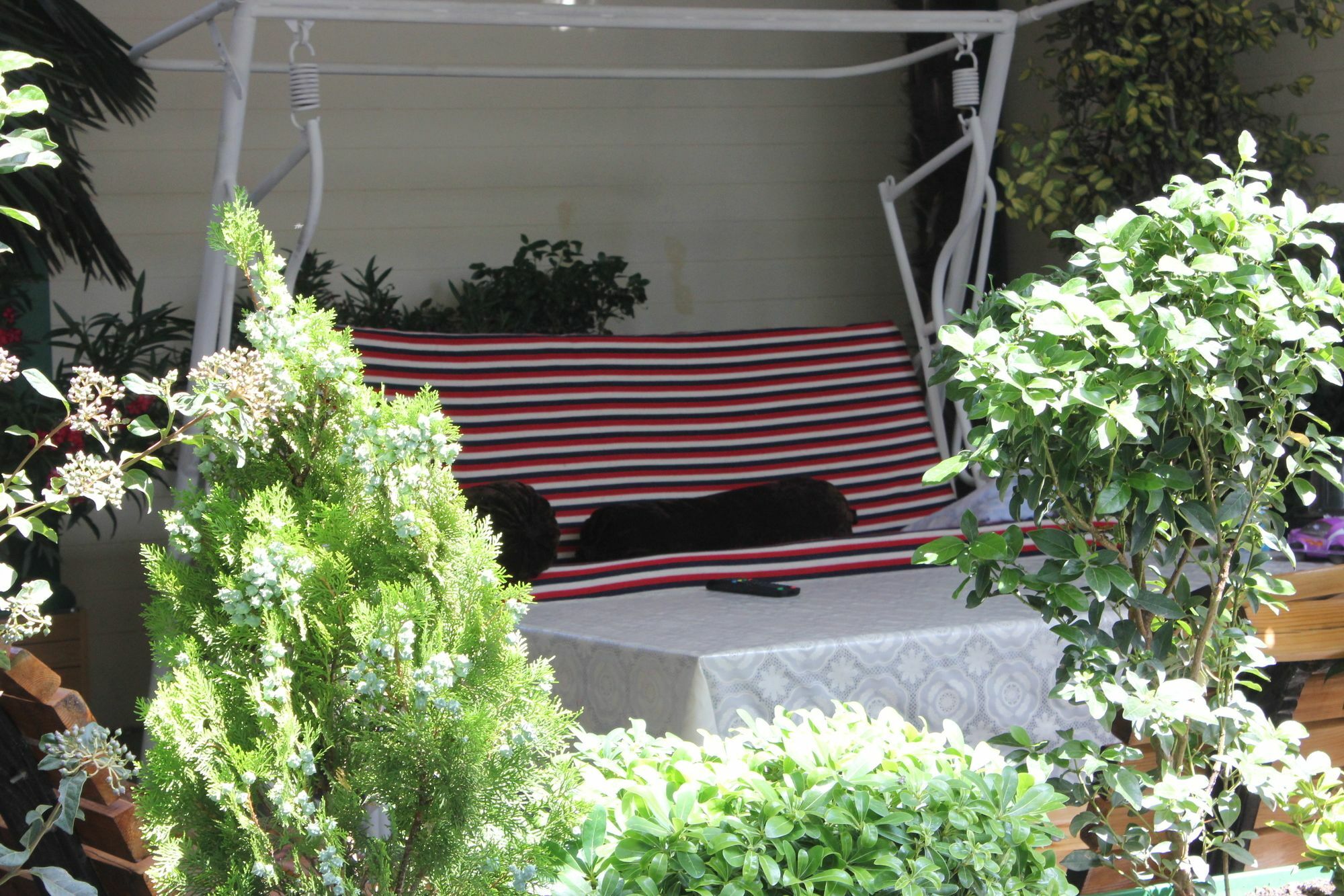 Vedzisi Garden Hotel Tbilisi Zewnętrze zdjęcie